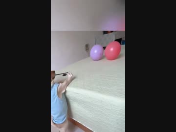 ホモと見る風船を狙撃する犬