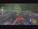 ゼルダの伝説　ブレス オブ ザ ワイルド　実況プレイPart208