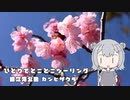 ひとりでとことこツーリング番外編49　～鹿児島市　錦江湾公園　カンヒザクラ～