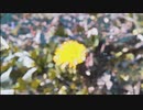 それ