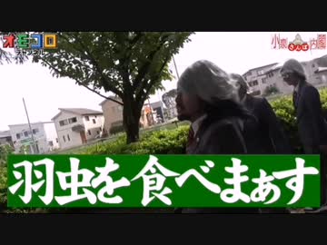 羽虫
