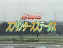 2004年 スプリンターズステークス カルストンライトオ