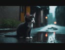 Ethereal Innocence / 子猫