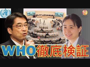 【永久保存版】WHO徹底検証＜WHOのトリックを見破れ‼️‼️の詳細です＞