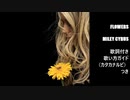 【英語の歌うたえたら】Miley Cyrus - Flowers【カッコよくねぇ？】