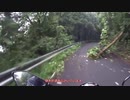【ゆっくり】大谷スカイライン倒木事件
