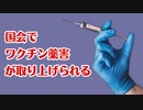 ついに国会でワクチン薬害について取り上げられる！！