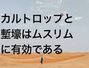 カルトロップと塹壕はムスリムに有効である