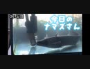 赤ちゃんなまず飼育日記 267日目