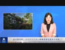 豪州最高裁、コロナワクチン接種義務を違法と判断