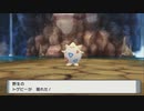 トゲピーを捕まえたい　やっぱりポケモンは楽しい　#ポケモンbdsp #ぶるー