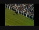 シャーガー　1981年　英ダービー（Epsom Derby）