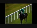 シャーガー　1981年 愛ダービー（Irish Derby）