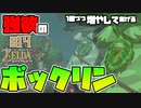 【ゼルダの伝説 BotW】#14　命がけでマラカス回収したのに！！その仕打ち！？