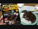 神田カレーグランプリを食べますよ！