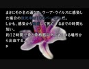 実写サウンドノベル最高傑作【428~封鎖された渋谷で~】実況 part11
