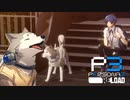 街の番犬コロマル【ペルソナ３リロード】実況プレイ part33