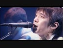 【60分耐久】マサムネコ／春の歌
