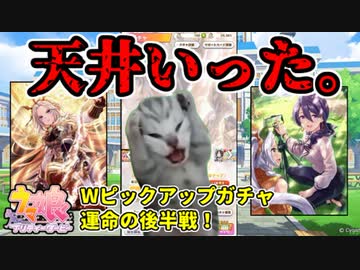 【ウマ娘】ここはとことん行きます！三女神様！【オルフェーヴル・都留岐涼花（サポカ）】