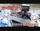 2024年3月7日　農作業日誌P927　雨が止んだのでネギの収穫していた