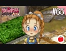 【実況】牧場物語ハーベストムーンforガールを遊ぶいも【#65】