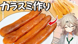 【高級珍味】1ヶ月かけて"カラスミ"を自作してみた！【VOICEVOX春日部つむぎ】