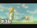 【ゆっくり実況】ゼルダの伝説BotW 4縛り#36