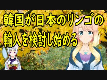 【韓国の反応】韓国が日本のリンゴの輸入を検討→韓国人「今でもホタテと水産物は自分のお金では食べてないのに」【世界の〇〇にゅーす】