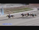 2024年3月8日笠松競馬9R ＬＪＳ笠松ラウンド 第２戦(B級特別) ヨーコマイラヴ