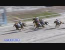 2024年3月8日笠松競馬7R ＬＪＳ笠松ラウンド 第１戦(C級特別) ハナテ