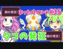 【Sun Haven】まったりマルチプレイ#35【VOICEVOX実況】