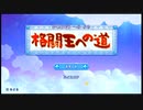 【wiiデラックス】星のカービィ本体あるけどスイッチでらくっす２１