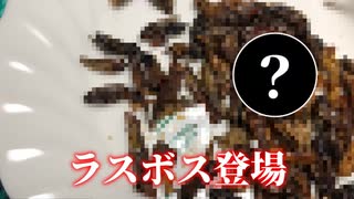 目隠しで女子に虫を食わされる元料理人【昆虫食/ゲテモノ】【アマゾン/Amazon】