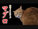 マグロ