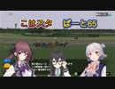 こはるりスタリオン　第65レース