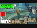 【ゼルダの伝説 BotW】#16　双子祠の謎！崖上るのが大変なんよ！