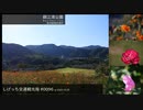 しげっち交通観光局#0096 トリシティ155で行く「錦江湾公園@鹿児島市平川町」/2023.10.25