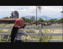 【GTA5】微変化ＬＳでシングルプレイ / Mission：Cows problems