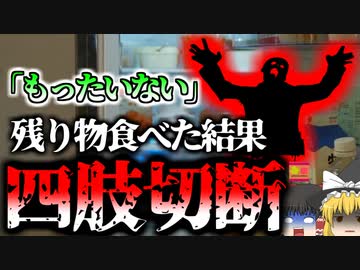 【2023年】「もったいない」友人の食べ残しを食べ身体を切断　組織が壊死する恐ろしい感染症『電撃性紫斑病』　【ゆっくり解説】