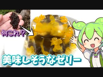 河川敷のブヨブヨキノコで映えスイーツを作るずんだもん