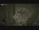 デモンズソウル実況風プレイ #14