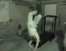 逆立ちっていいな