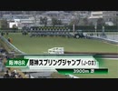 【競馬】2024年 第26回阪神スプリングジャンプ(J・GⅡ)【マイネルグロン / 石神深一】