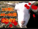 【Oh ! 】1分間に40～60回も、かみます