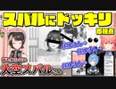 またしても何も知らない大空スバルにドッキリを仕掛けるフブみこすいせい両視点