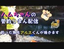 【管理釣り場】ハムちゃんの釣りまん配信【釣った魚をアルスくんが焼きます】