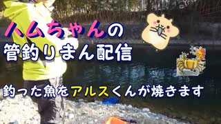 【管理釣り場】ハムちゃんの釣りまん配信【釣った魚をアルスくんが焼きます】