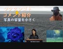 ワクチンの空中散布、農林水産省の指示（危険）！ＮＴＴ法改正！在宅看取りの場合は事件を疑い警察が調べに来ます（遺産目当て・保険金殺人などを防止するために必要）【アラ還・読書中毒】私事：写真の容量を小さく