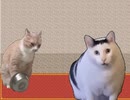 【VIPRPG】 もしもcat memeだったら