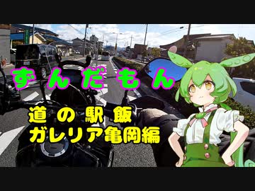 ずんだもん道の駅飯　ガレリア亀岡編